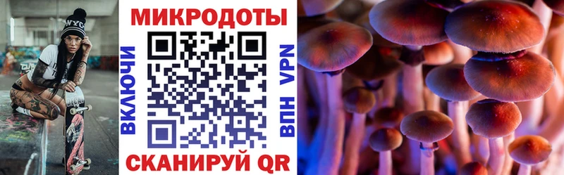 Псилоцибиновые грибы MAGIC MUSHROOMS  закладки  Сосногорск 