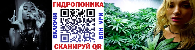 Бошки марихуана ГИДРОПОН  Сосногорск 